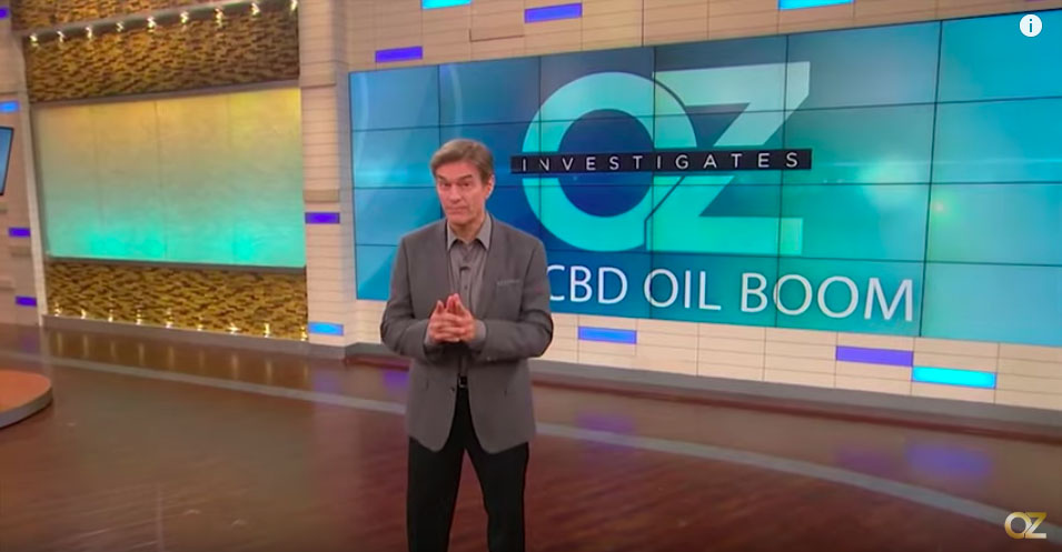 How CBD Oil Impacts the Body